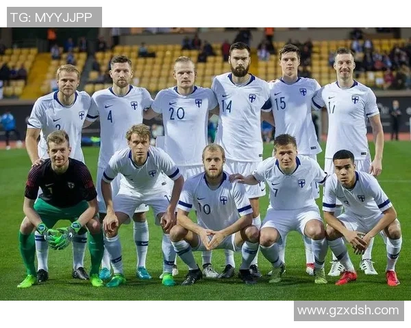 波黑足球明星名单揭晓他们在国际赛场上的辉煌成就与影响力